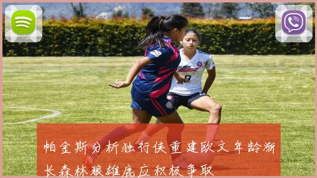 帕金斯分析独行侠重建欧文年龄渐长森林狼雄鹿应积极争取