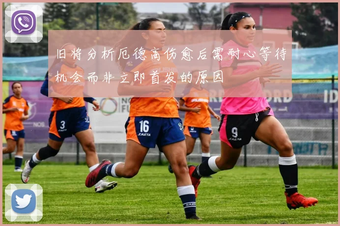 旧将分析厄德高伤愈后需耐心等待机会而非立即首发的原因
