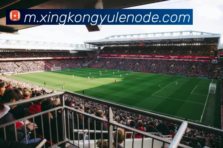 星空娱乐发展历程