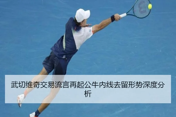武切维奇交易流言再起公牛内线去留形势深度分析 | xingkong